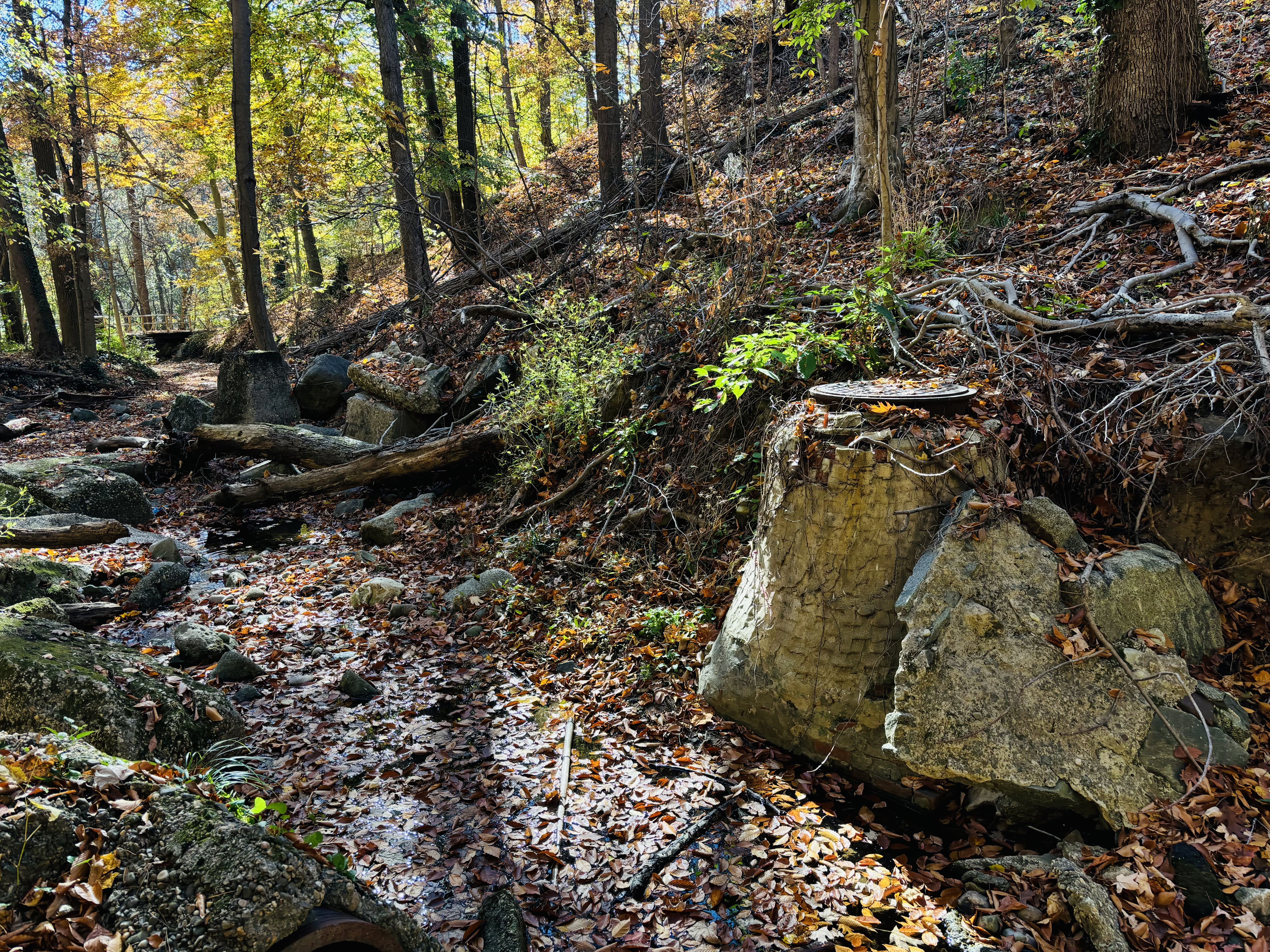 FIELD INVESTIGATIONS, SURVEYS, AND INSPECTIONS  NOTICE OF SANITARY SEWER FIELD WORK (National Park Service – Normanstone Parkway and Rock Creek Park) 