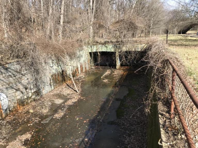 Photo of CSO 049 in Rock Creek Park