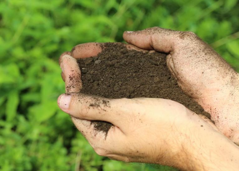 Close up of cupped hands holding some of the Bloom soil amendment