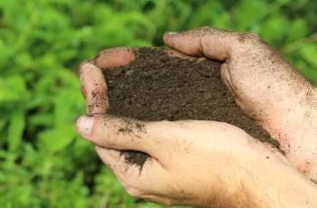 Close up of cupped hands holding some of the Bloom soil amendment