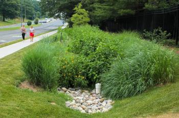 2017 0117 Div S Project Photo.jpg